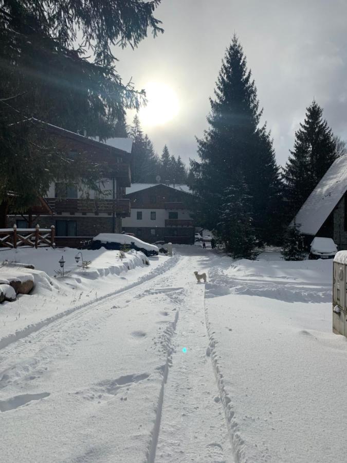 Lucnica Apartments Tale Buitenkant foto